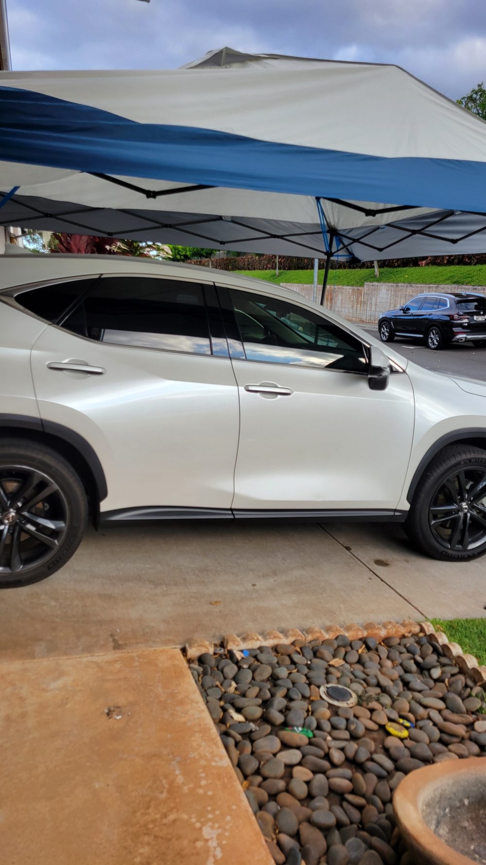Lexus after window tint